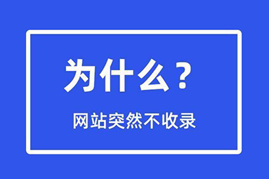 网站收录.jpg