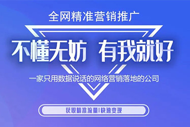 网络推广的必要性